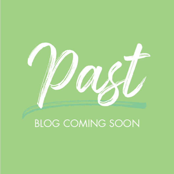 past past